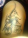 dsc00068