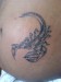 dsc00276